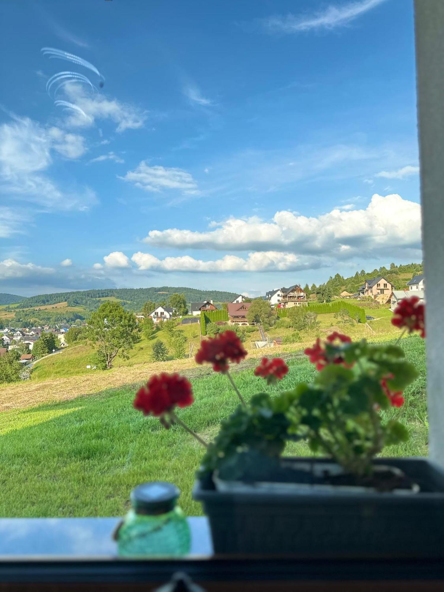 Wyborny Zakatek Apartment